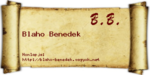 Blaho Benedek névjegykártya