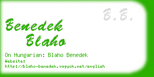 benedek blaho business card